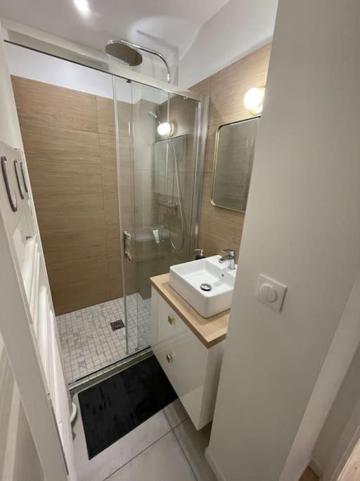 Blue Iro, Lumineux, 4 Chambres, Balcon, 105M2 Saint-Etienne  Esterno foto